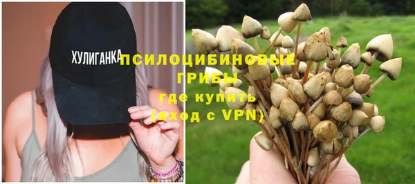 винт Семилуки