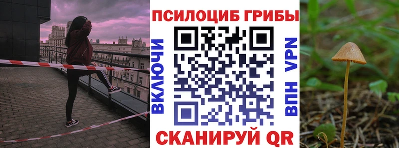 Галлюциногенные грибы Psilocybe  Новохопёрск 